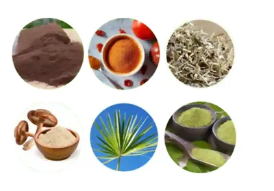 Beth yw pwrpas Palmetto?